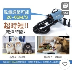 決まりました
❣️ペット用ドライヤー➕トリミングテーブルの画像