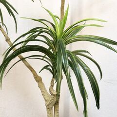 CT触媒リアル大型フェイクフラワー＆グリーン　フェイク葉・植物インテリア装飾　観葉植物　角型陶器鉢付き　展示品・アウトレットの画像