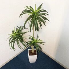 CT触媒リアル大型フェイクフラワー＆グリーン　フェイク葉・植物インテリア装飾　観葉植物　角型陶器鉢付き　展示品・アウトレットの画像