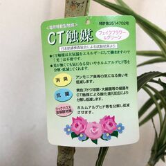 CT触媒リアル大型フェイクフラワー＆グリーン　フェイク葉・植物インテリア装飾　観葉植物　角型陶器鉢付き　展示品・アウトレットの画像