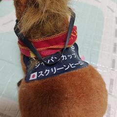競馬　スクリーンヒーローぬいぐるみ