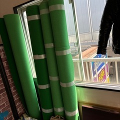 グリーンのカーペット