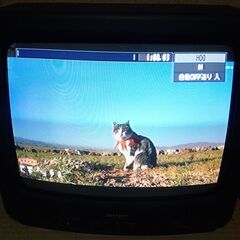 SHARP 18C-M3 ブラウン管テレビ