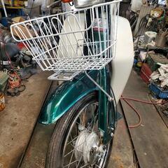 カブー4サイクルセル付きの画像