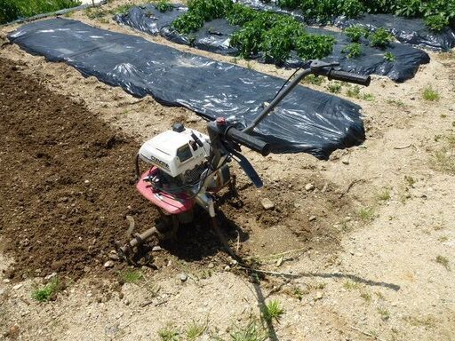 農機具   ホンダこまめ　Ｆ210 管理機