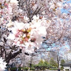 5月後半、のど自慢イベントのお知らせ - 前橋市