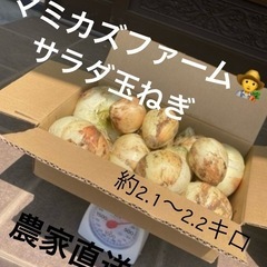 ①サラダ玉ねぎ　　約2.1〜2.2キロ