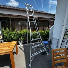 【ジ428】剪定はしご せん定 (ma) ジ428】剪定はしご せん定 (ma)