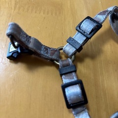 AVIREX ペットハーネス　Sサイズの画像