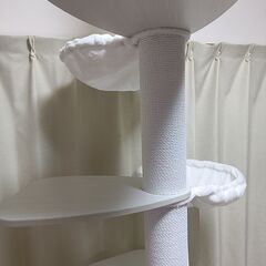 引き取り限定 キャットタワー つっぱり方式の画像