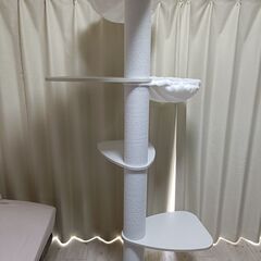 引き取り限定 キャットタワー つっぱり方式の画像