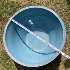 睡蓮鉢メダカの飼育に！
