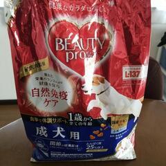 ドッグフード(BEAUTY pro成犬用)開封済みの画像