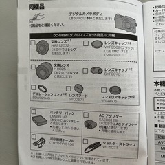 Panasonic LUMIX　DC-GF9W ミラーレスカメラ オレンジの画像