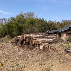茨城県の丸太の中古が安い！激安で譲ります・無料であげます