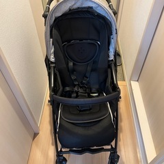 ピジョン　ランフィリノン　RA9L