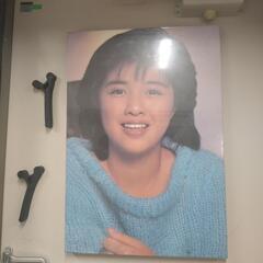 菊池桃子パネルの画像