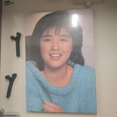 菊池桃子パネル