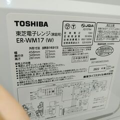 HARIO ハリオ リーフティポット ピュア CHEN-70T ( 1個入
