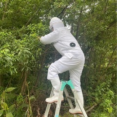 札幌全域、近郊のハチの駆除お任せください。