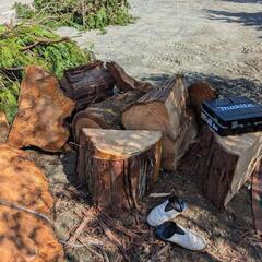 薪 ヒノキ、桜