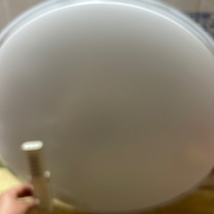 シーリングライト