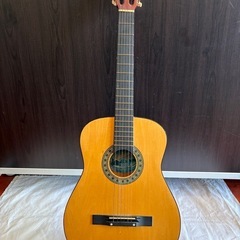 Lisheng クラシックギター
