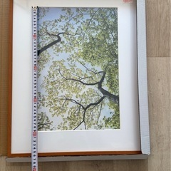 新品未使用A3額縁 　の画像