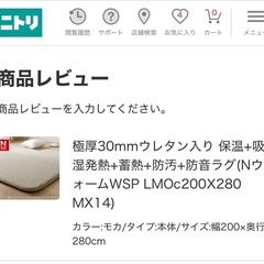 ニトリ/極厚30mmウレタンマットの画像