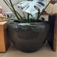 鉢カバー　メダカ鉢