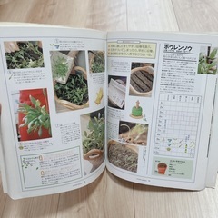 家庭菜園　本の画像