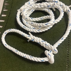 お散歩紐　犬　首輪　リード　手作り