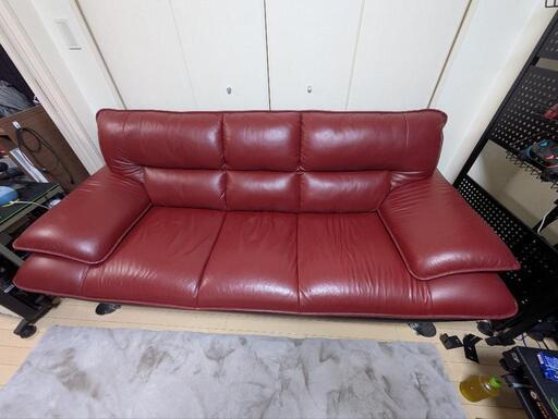 ニトリ 半皮 ロゾ