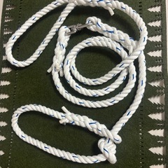 お散歩紐　犬　首輪　リード　手作りの画像