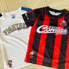 キッズ　Tシャツ 130cm コンサドーレ ファイターズの画像