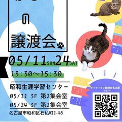 5/24(土) 猫の譲渡会　in　名古屋市昭和生涯学習センター