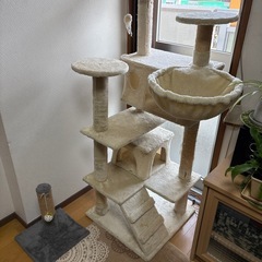 キャットタワー