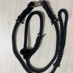 お散歩紐　犬　首輪　リード　手作りの画像