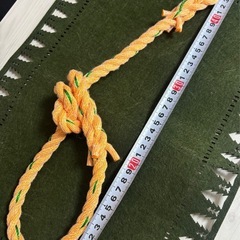 お散歩首輪　犬　首輪　リード　手作りの画像