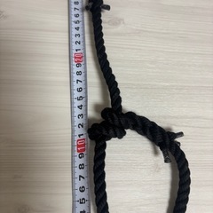お散歩首輪　犬　首輪　リード　手作りの画像
