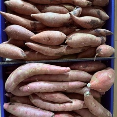 茨城県産 長期熟成【 紅天使＆華むらさき】さつまいも　約2キロ 