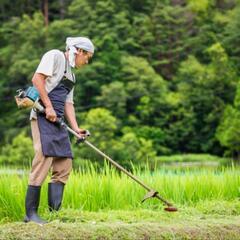 ✅️旭川市で草刈り仕事あり
