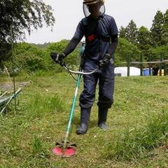 ✅️旭川市で草刈り仕事あり