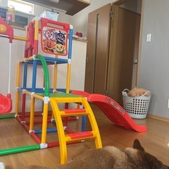 アンパンマン遊具の画像