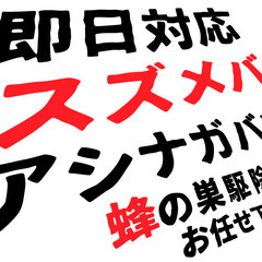【京都　蜂の巣予防施工】毎年悩むハチの巣に終止符！ プロの予防技術で、ハチを寄せ付けない家へ。 - 地元のお店