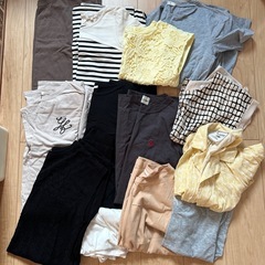 レディース夏の画像