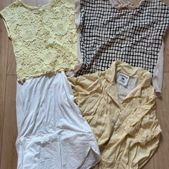 レディース夏の画像