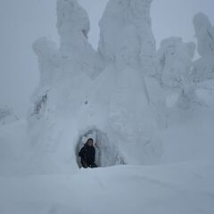 『札幌』旅行　友だち作りたい！ - 友達