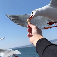『札幌』旅行　友だち作りたい！ - メンバー募集