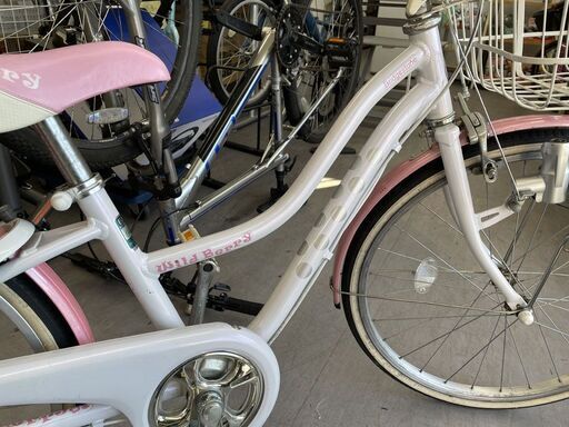 BRIDGESTONE 22インチ 子ども用自転車 6段変速 ワイルドベリー Wild